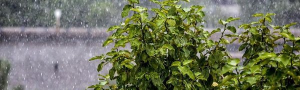 В Приморье прогнозируют дожди: возможны сильные