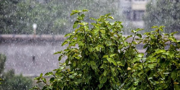 В Приморье прогнозируют дожди: возможны сильные