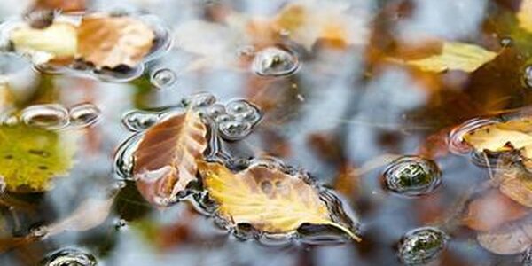 Внимание! Есть угроза достижения уровнем воды отметок опасного явления на реке Раздольная