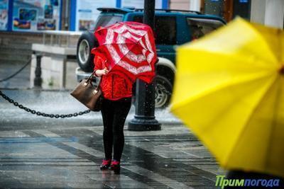 Дождь, временами сильный, ожидается в Приморье 21 — 23 сентября