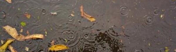 Циклон принес в Приморье интенсивные дожди и сильный ветер