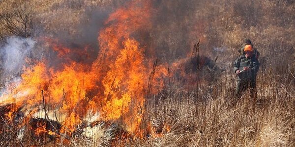 Предупреждение о неблагоприятном явлении в Приморье