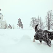 Лучшее в России 2012: год из жизни России в самых ярких и неординарных фотографиях