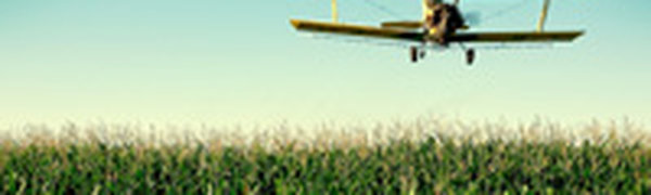 Перелеты между Австралией и Новой Зеландией опасны для экологии