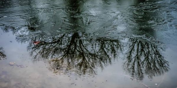 Большинство рек Приморья освободилось ото льда