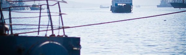 Чем дышал Владивосток с 20 по 29 июля?