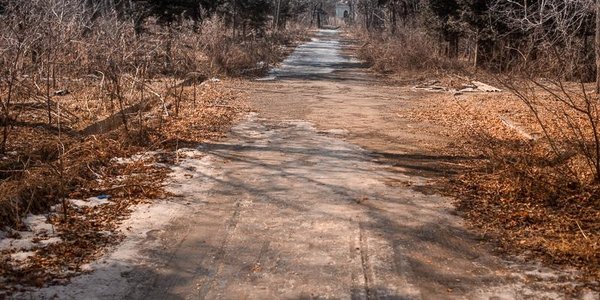 Снега не будет: синоптики уточнили прогноз на выходные в Приморье