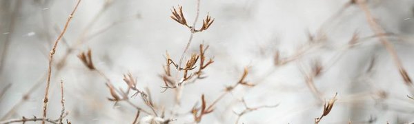 В начале недели Приморье накроет циклон