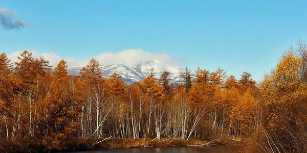 После ночных заморозков в Приморье потеплеет