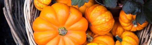 Ярмарка на центральной площади Владивостока будет работать в субботу