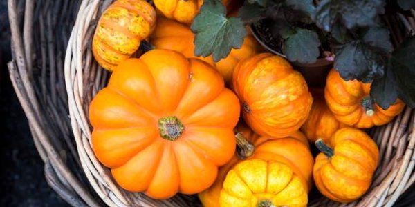 Ярмарка на центральной площади Владивостока будет работать в субботу