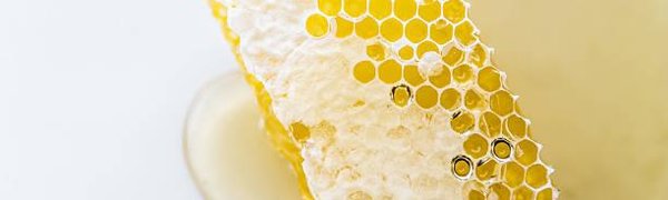 Лучший липовый мёд выберут на фестивале в Приморье