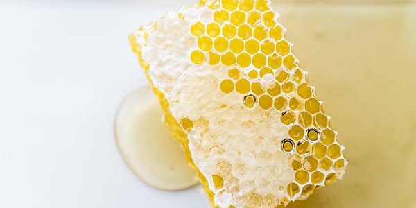 Лучший липовый мёд выберут на фестивале в Приморье