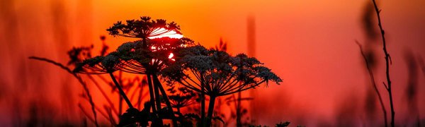 В июле во Владивостоке выдался лишь один день без тумана