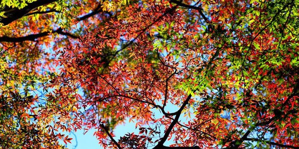 В выходные дни жителей Приморья ждёт прекрасная погода