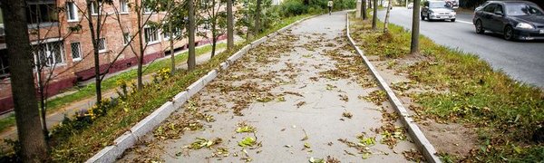 Чем дышал Владивосток с 1 по 10 октября?