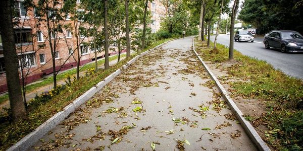 Чем дышал Владивосток с 1 по 10 октября?