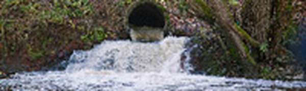 У сточных труб в Петербурге появились имена