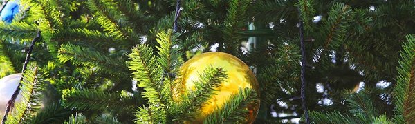 В 7 районах Владивостока появились новогодние ели