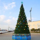 В 7 районах Владивостока появились новогодние ели