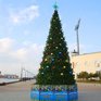 В 7 районах Владивостока появились новогодние ели