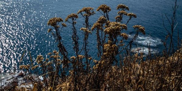 В ближайшие сутки во Владивостоке похолодает