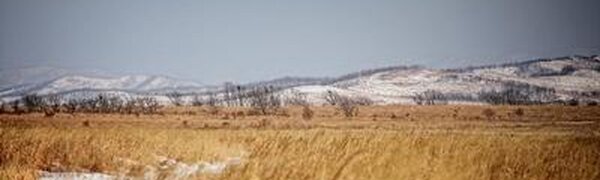 В первый рабочий день года в Приморье была комфортная погода