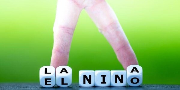 Стало известно, какая погода ожидается в 2022 году