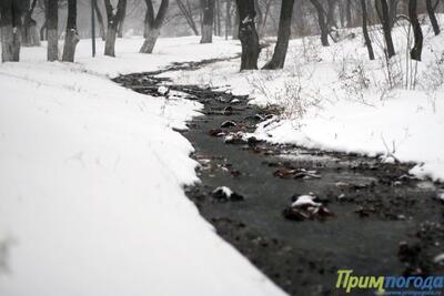 Погода на выходные: оттепели до +2°С сменятся похолоданием и небольшим снегом в Приморье