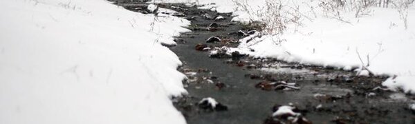 Погода на выходные: оттепели до +2°С сменятся похолоданием и небольшим снегом в Приморье