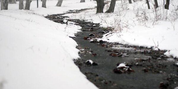 Погода на выходные: оттепели до +2°С сменятся похолоданием и небольшим снегом в Приморье