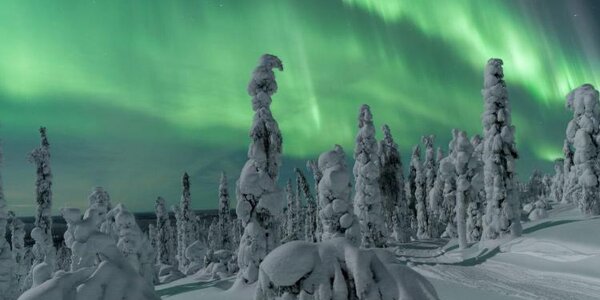 В Лапландии произошло самое масштабное за несколько лет северное сияние