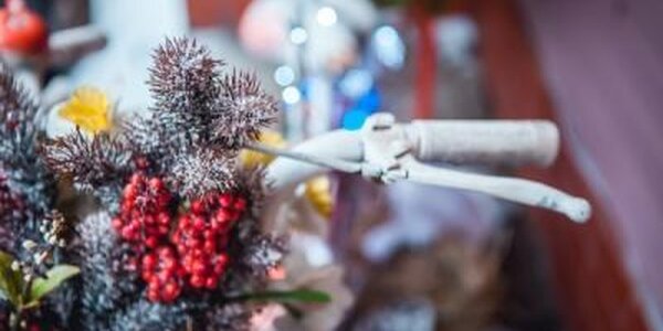 Синоптики рассказали о погоде в Старый Новый год