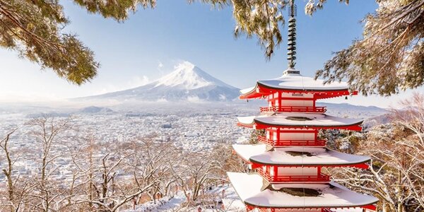 Сильнейший за последние 4 года снегопад прошел в Токио