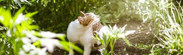 Завтра во Владивостоке днём осадков не ожидается