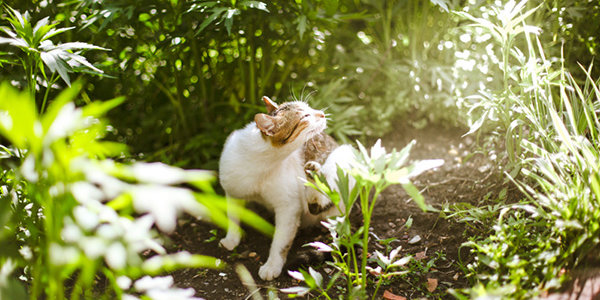 Завтра во Владивостоке днём осадков не ожидается