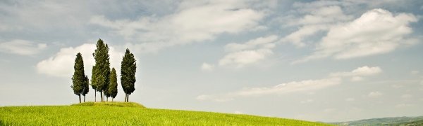 Почему штормовое предупреждение на сильный дождь в Приморье было отменено?