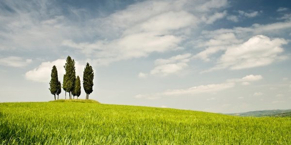 Почему штормовое предупреждение на сильный дождь в Приморье было отменено?