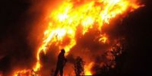 Информации об экологической опасности для России в связи с пожаром на химзаводе в КНР не сообщают