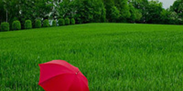 Борис Кубай: Июнь во Владивостоке — пропащий месяц