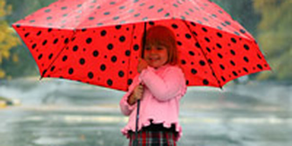 К Приморскому краю приближаются дожди