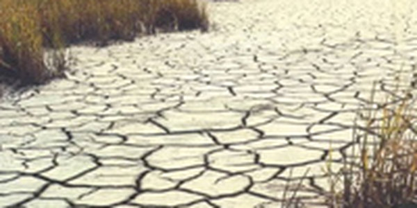 На реках Приморья наблюдается маловодье