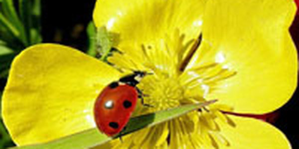 Будет ли в Приморье лето?