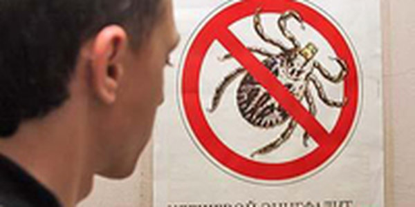 В Приморье наступил пик активности клещей