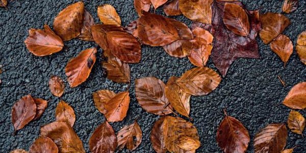 Завтра во Владивостоке ожидаются дождь и сильный ветер