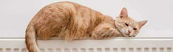 Тепло в дома владивостокцев начнёт поступать с 25 октября