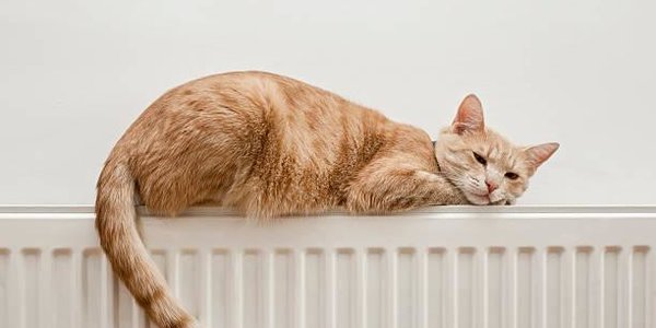 Тепло в дома владивостокцев начнёт поступать с 25 октября