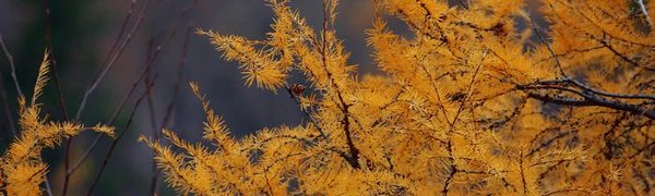 Похолодание и дожди: прогноз погоды в Приморье на неделю