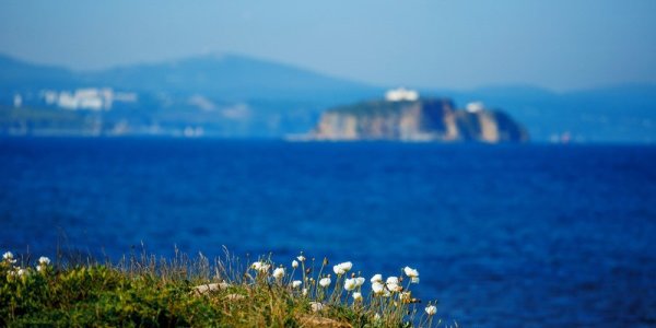 Циклон постепенно покидает Приморский край