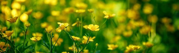 Климатический портрет июня в Приморье